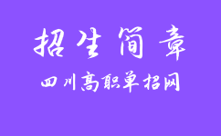 南充职业技术学院2023年高职教育单独招生章程